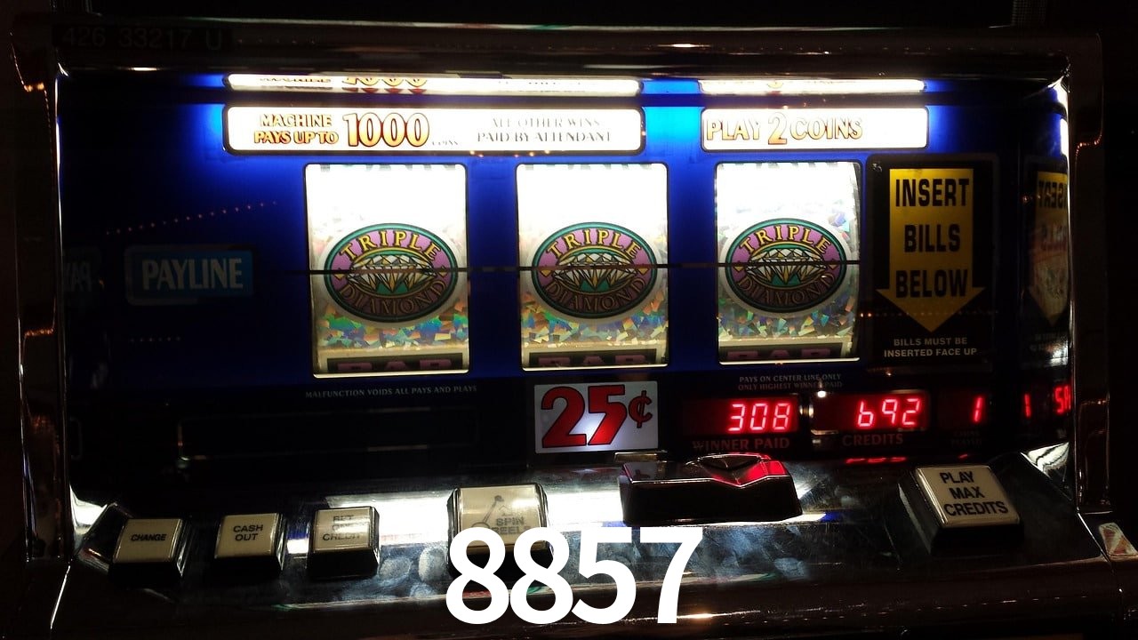 VIP Casino 8857